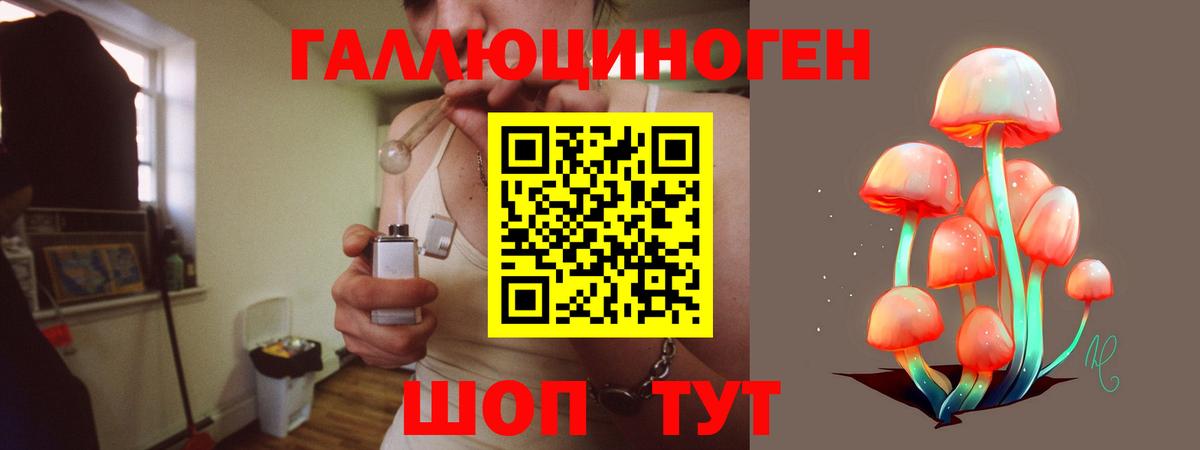 Галлюциногенные грибы Psilocybine cubensis Гусиноозёрск